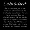 Labradorit